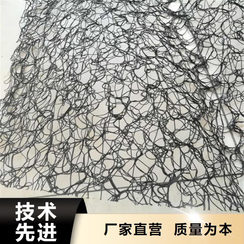 通风降噪丝网【钢塑土工格栅】满足多种行业需求