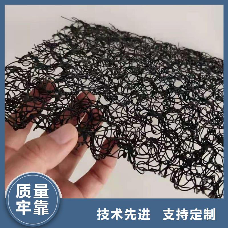 A20三维水土保护毯