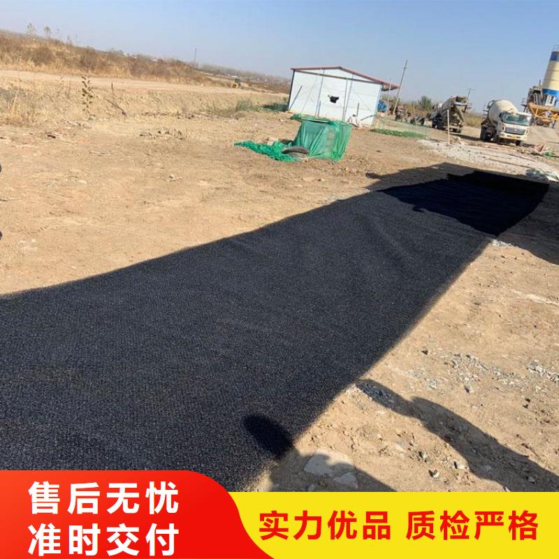 PA6水土保护毯