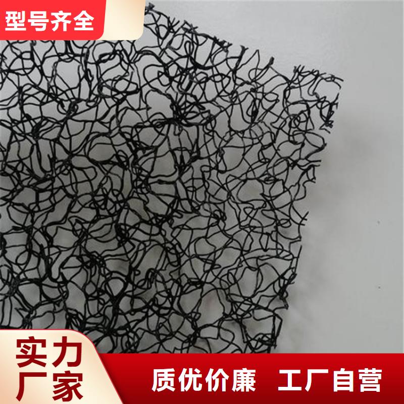 A20三维水土保护毯
