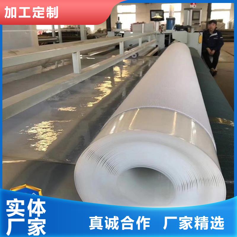 【防水板】双向塑料土工格栅多种工艺