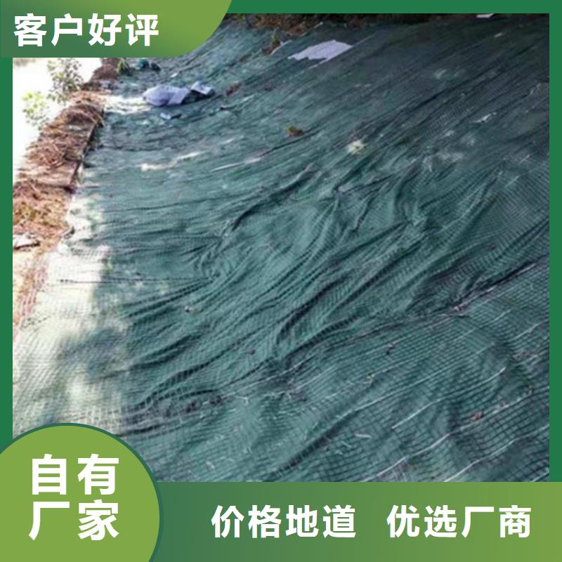 水保抗冲生物毯麻椰固土垫