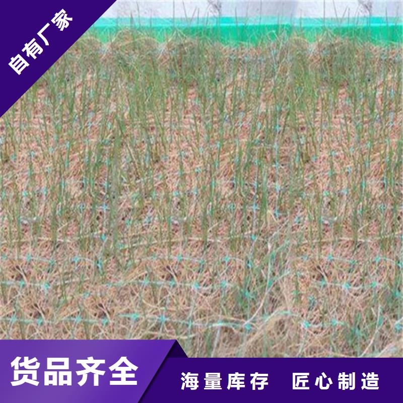 椰丝毯塑料盲沟质量无忧
