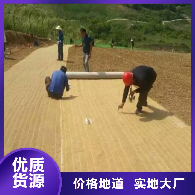 白沙县植被毯植物纤维毯
