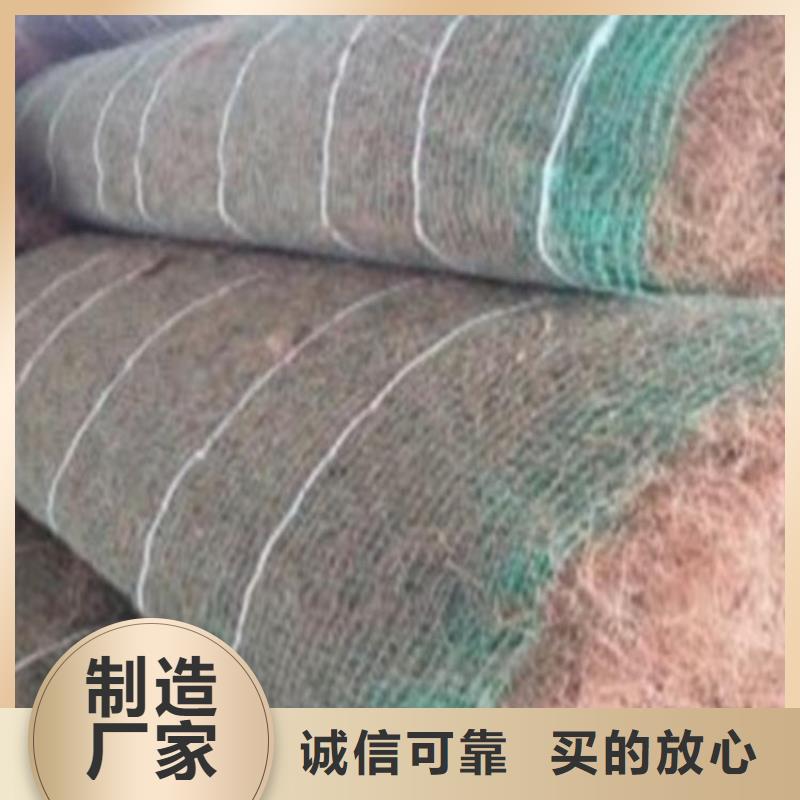 环保草毯水保抗冲生物毯
