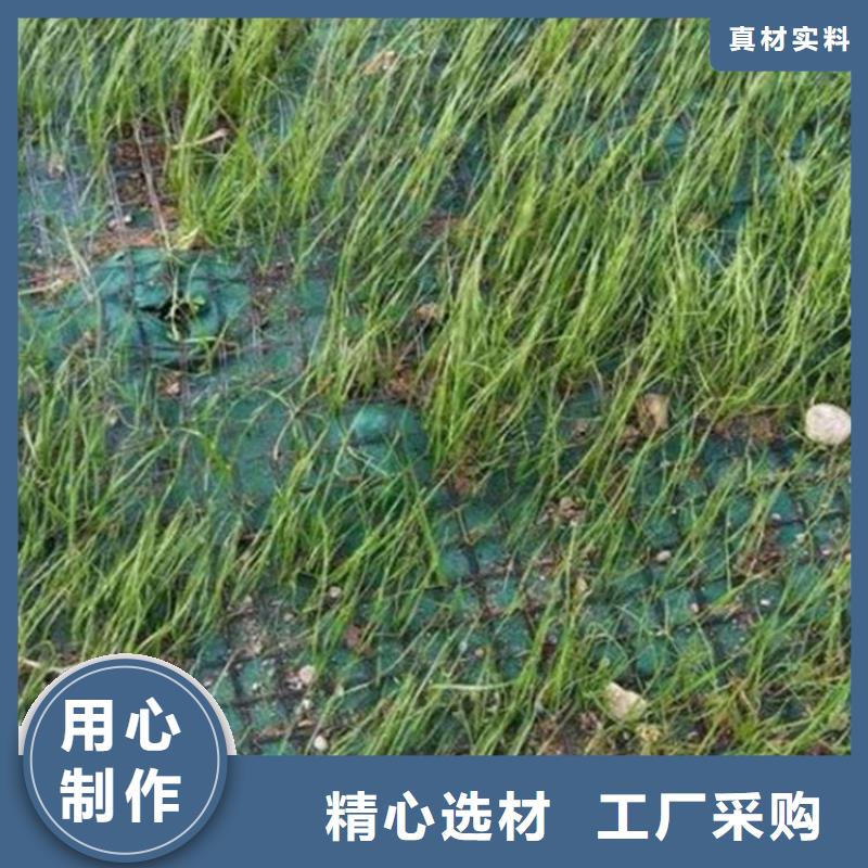 生态植物防护毯厂家