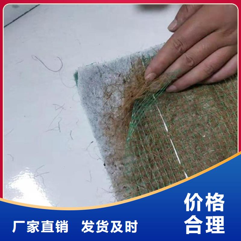 绿化草毯