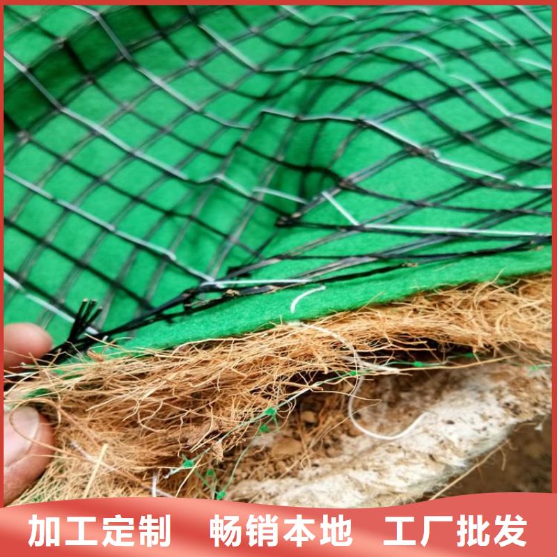护坡生态草毯施工行情