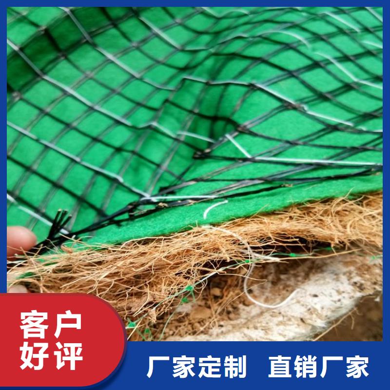 护坡植被植草毯代理商