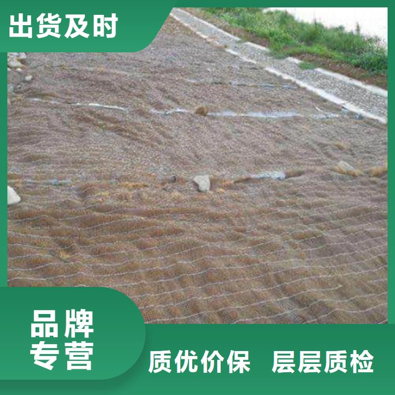 临高县椰丝植生毯厂家……批发