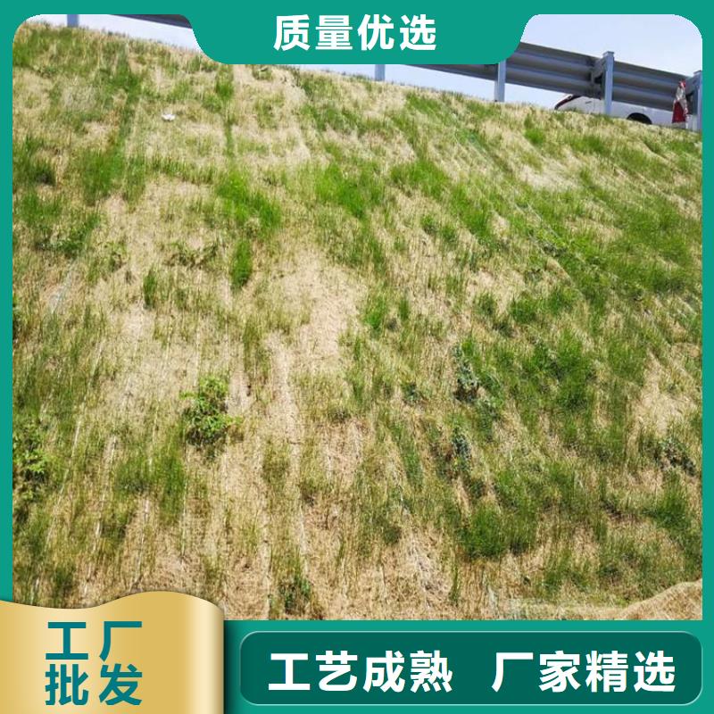 椰丝纤维毯环保草毯