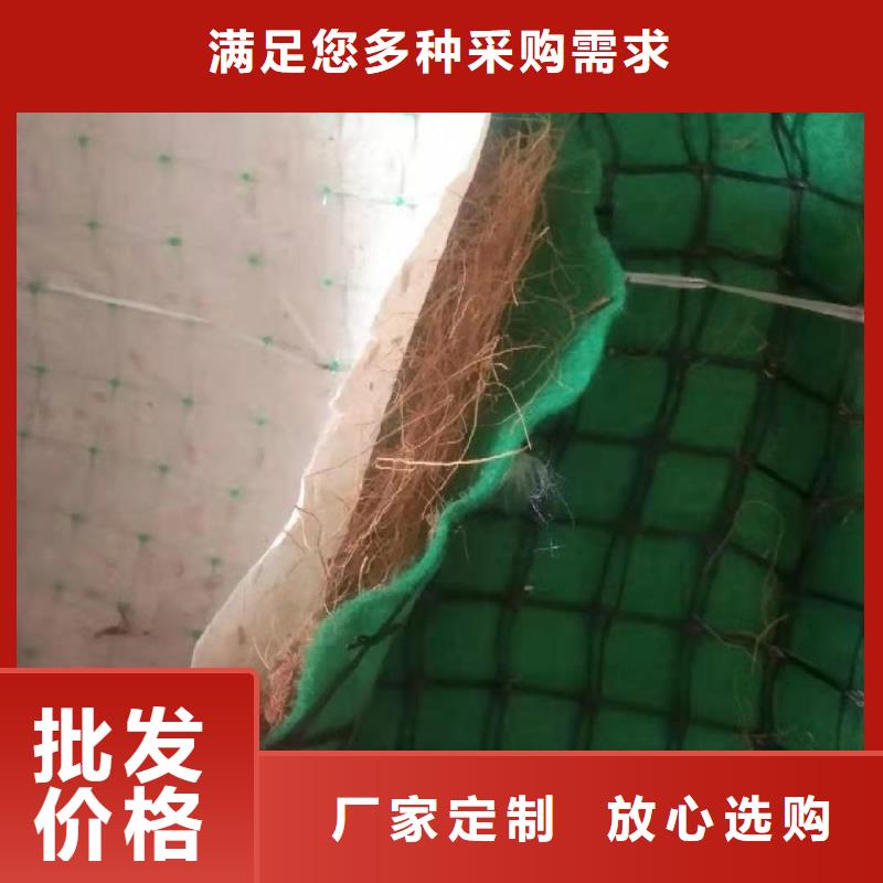 椰丝毯塑料盲沟质量无忧