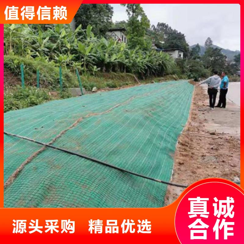 生态植物防护毯水保加筋椰丝毯