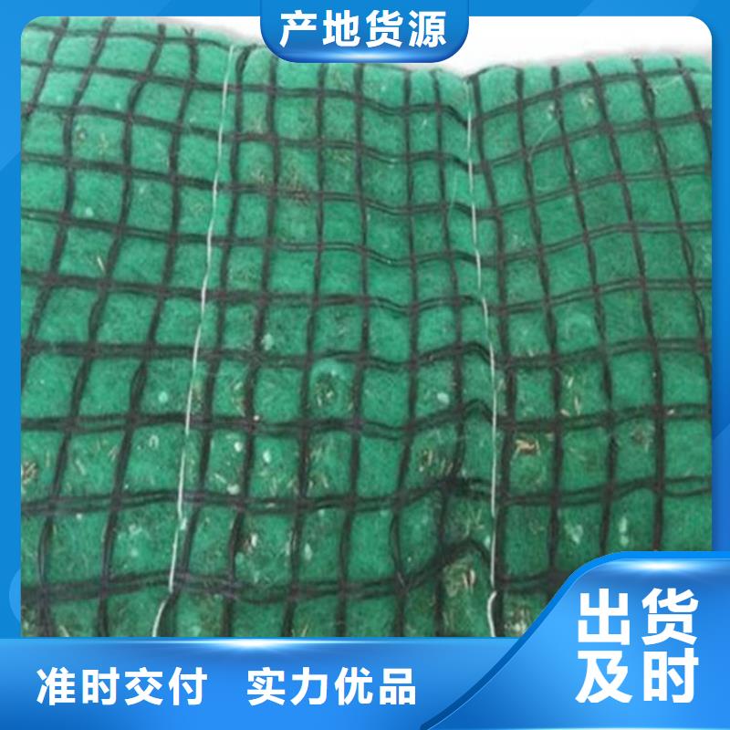 椰丝植生毯环保草毯