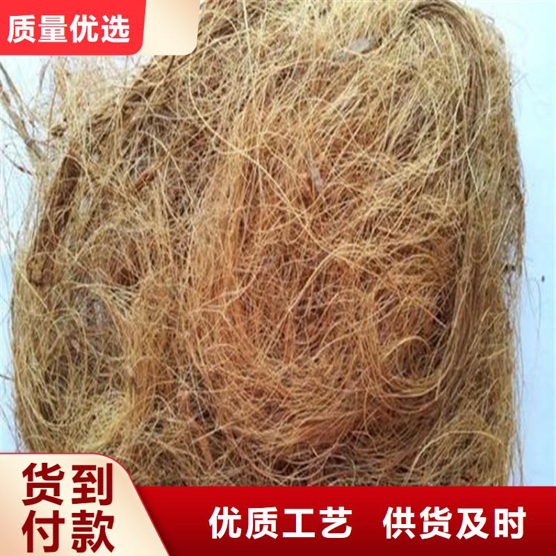 生态植物防护毯生产厂家