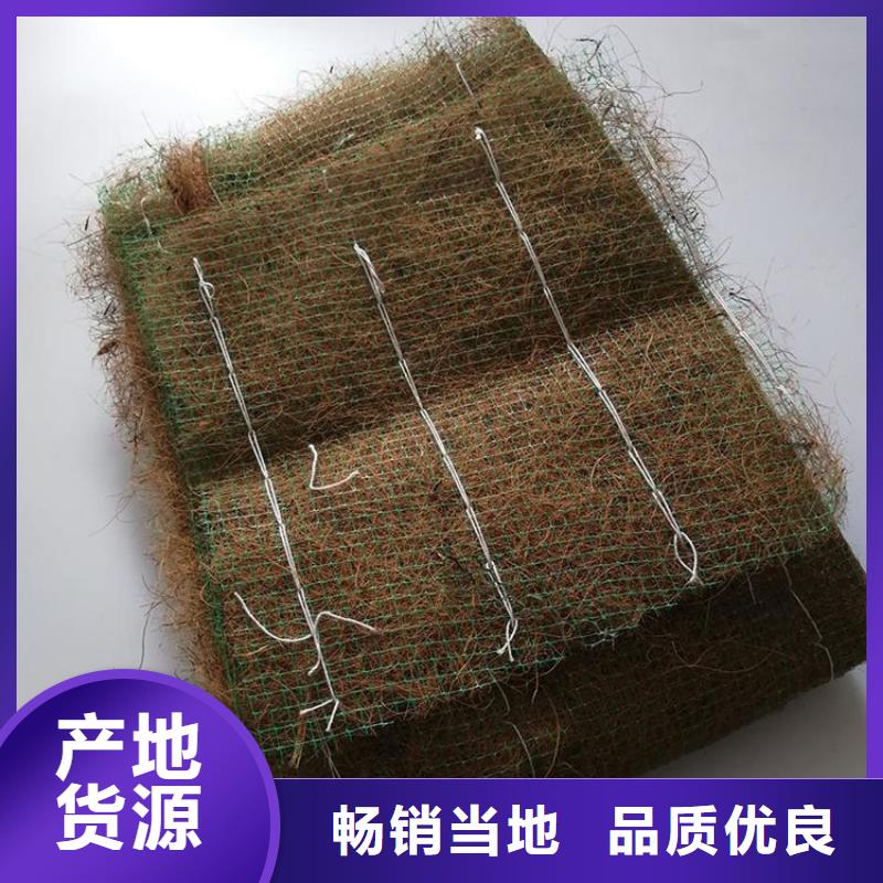 白沙县植被毯植物纤维毯