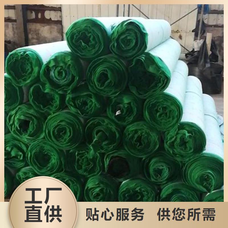 生态植物防护毯加筋复合植草毯