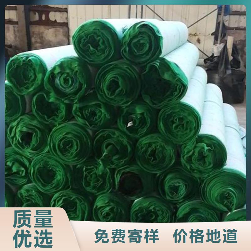 生态植物防护毯河道护坡植生毯