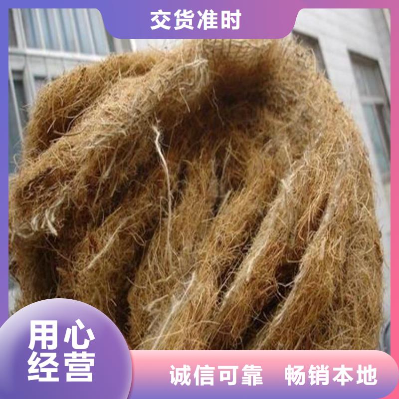 椰丝植生毯环保草毯