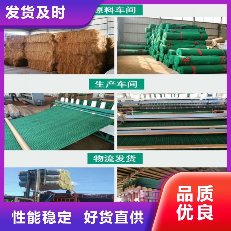 生态植物防护毯河道护坡植生毯