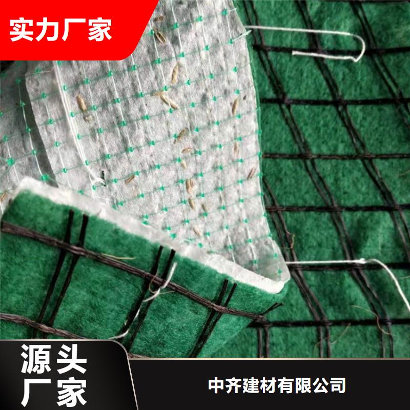 护坡生态草毯边坡植物纤维毯