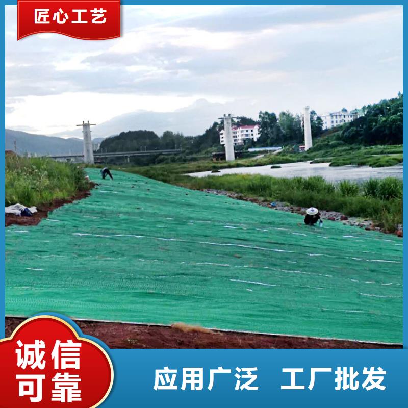 抗冲植物毯