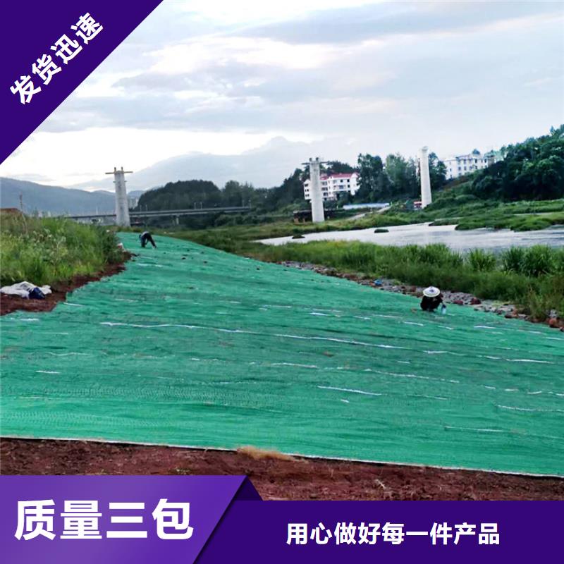 护坡生态草毯边坡植物纤维毯