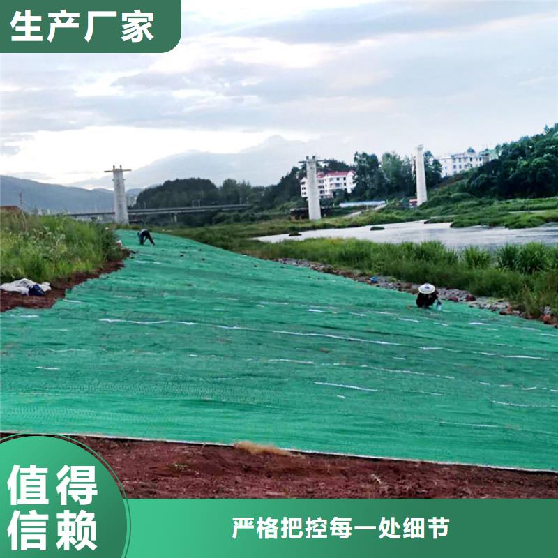生态植物防护毯河道护坡植生毯