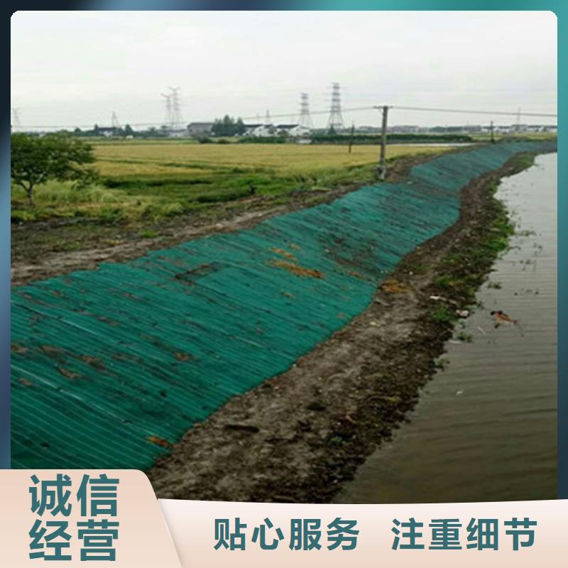 临高县椰丝植生毯厂家……批发