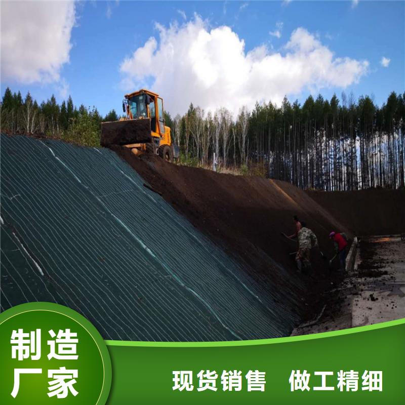 生态植物防护毯生产厂家