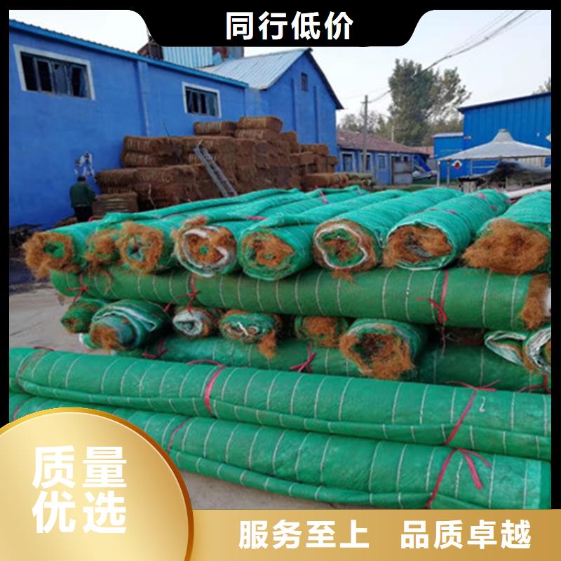 椰丝植生毯加筋抗冲生态毯