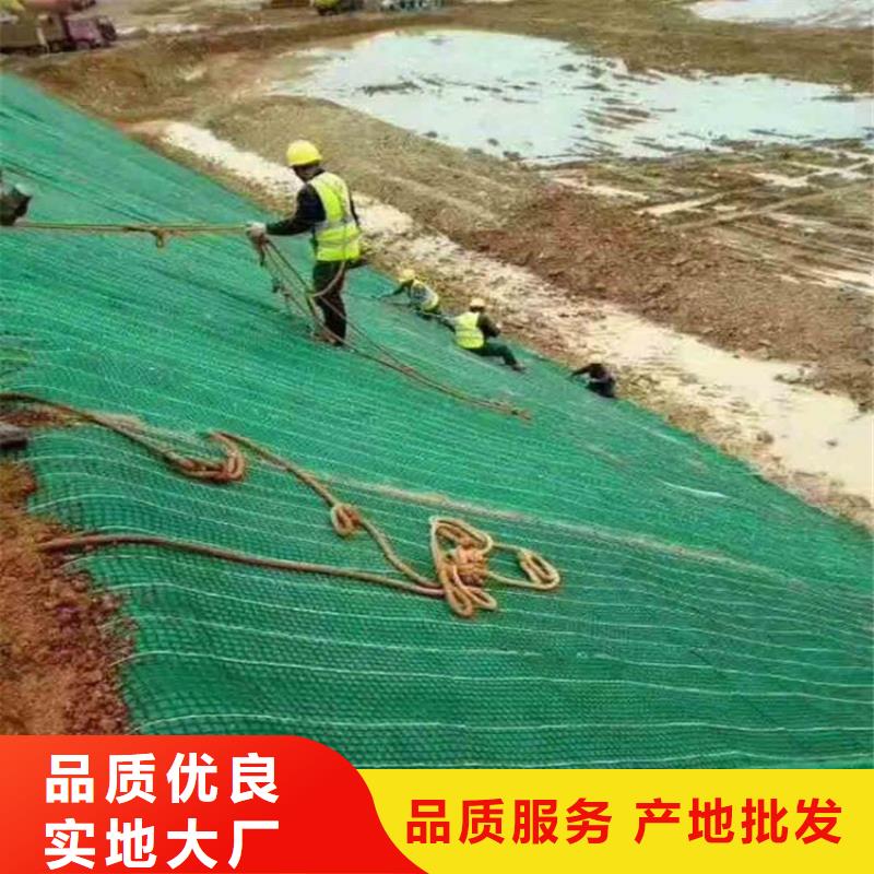 植生椰丝毯铺装