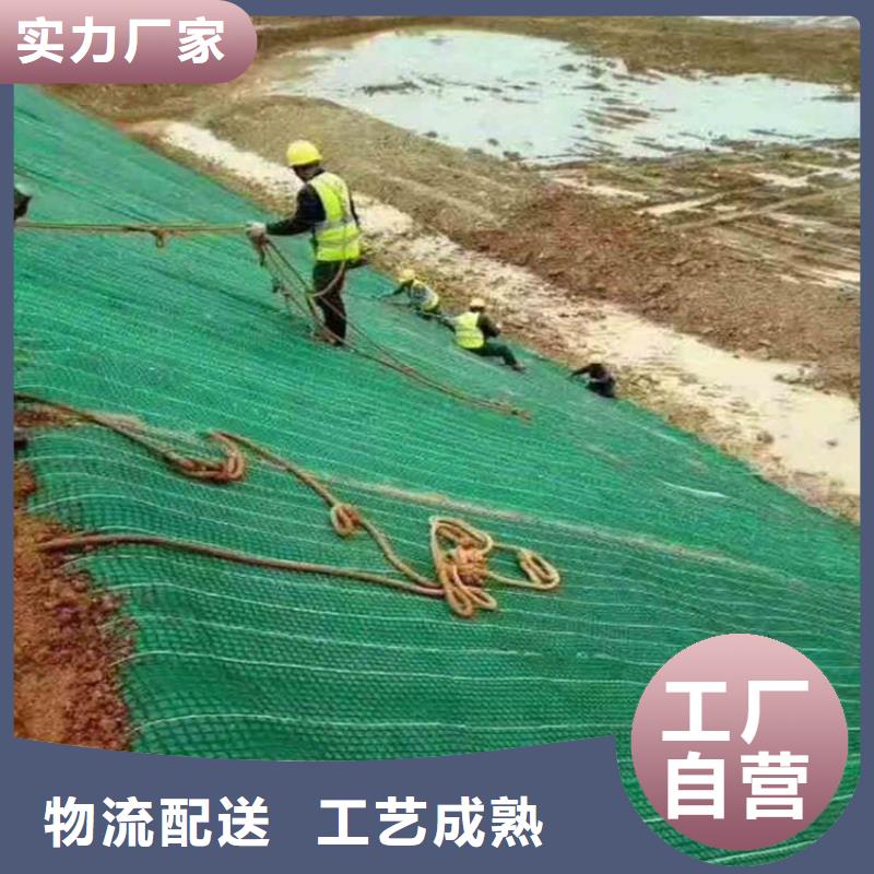 生态植物防护毯生产厂家