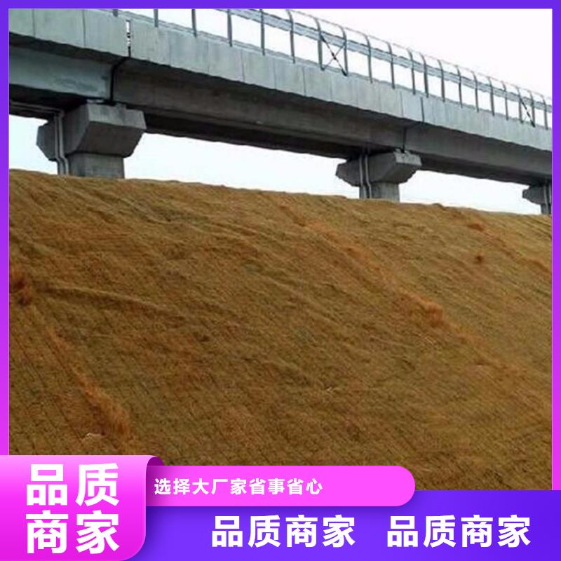 绿化草毯