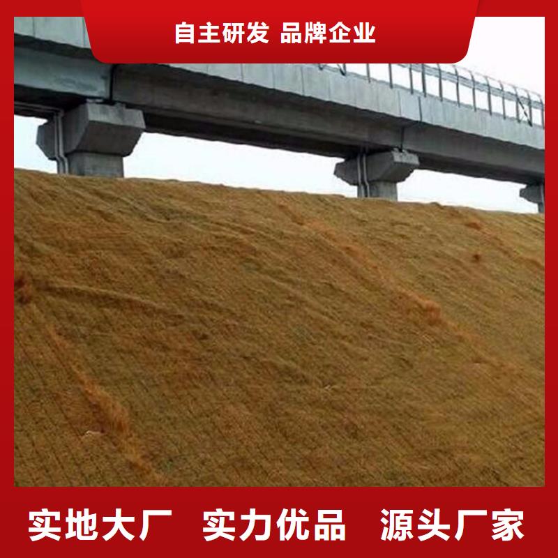护坡椰丝植草毯水保抗冲生态毯