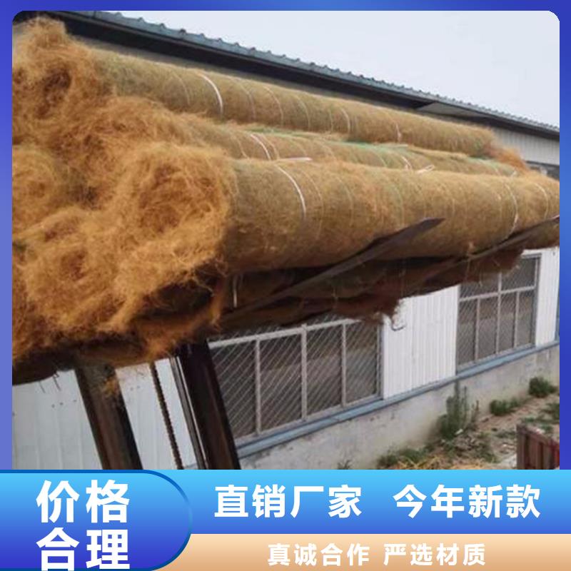 生态植物防护毯护坡绿化椰丝毯