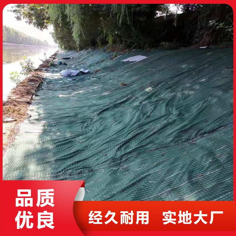 护坡椰丝毯