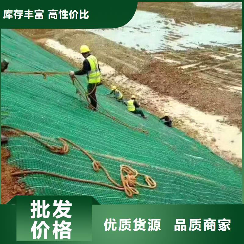 椰丝毯双向塑料土工格栅一周内发货