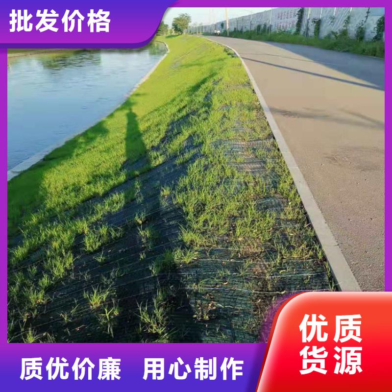 环保草毯水保抗冲生物毯