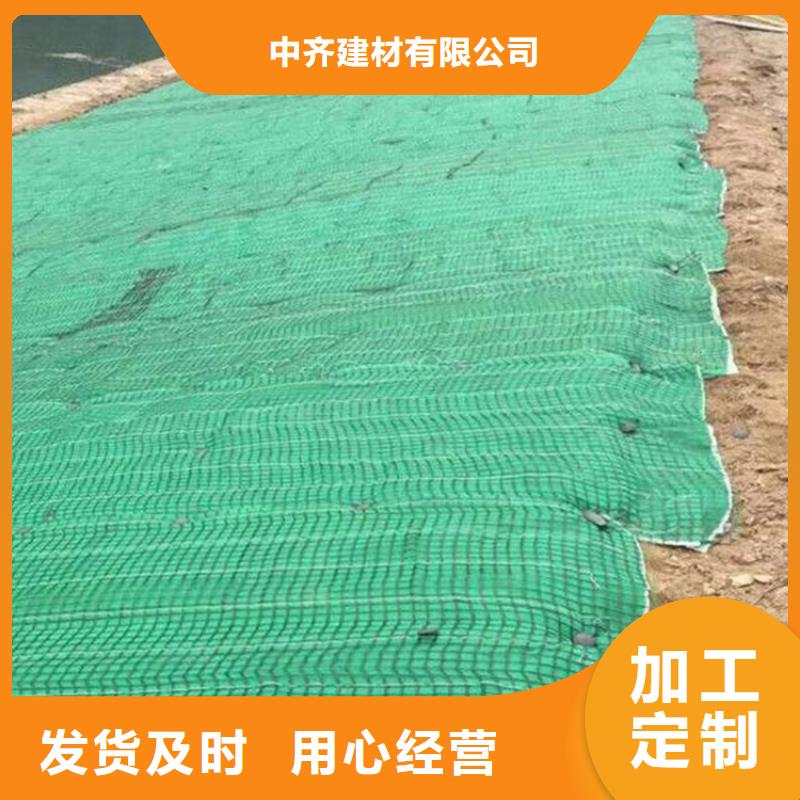 水保抗冲生物毯麻椰固土垫