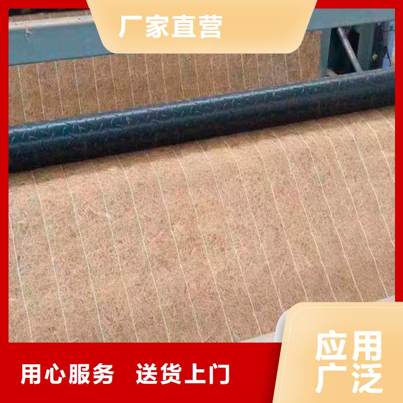 椰丝植生毯环保草毯