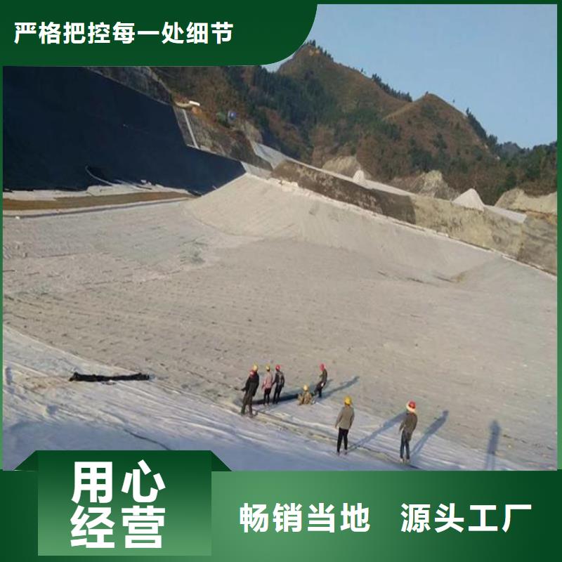 膨润土防水垫