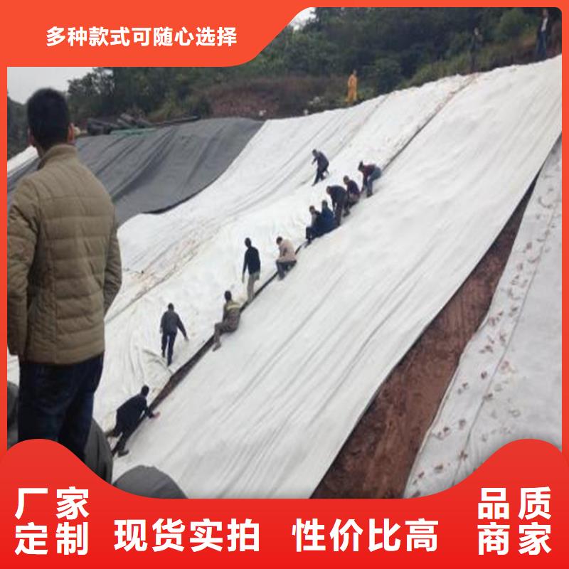 膨润土防水毯钢塑土工格栅质量层层把关
