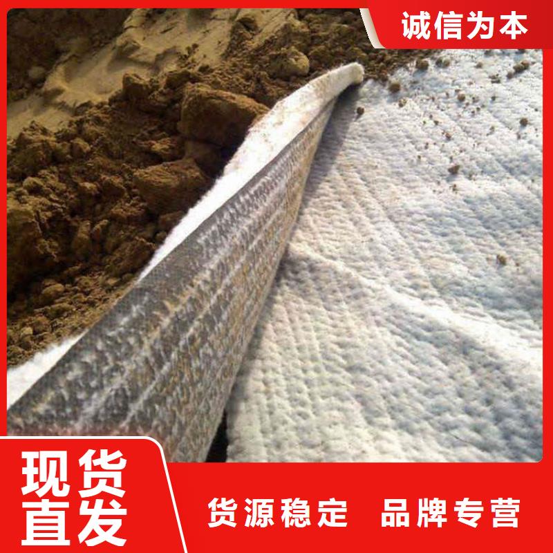 膨润土防水毯8mmPE覆膜钠基防水垫