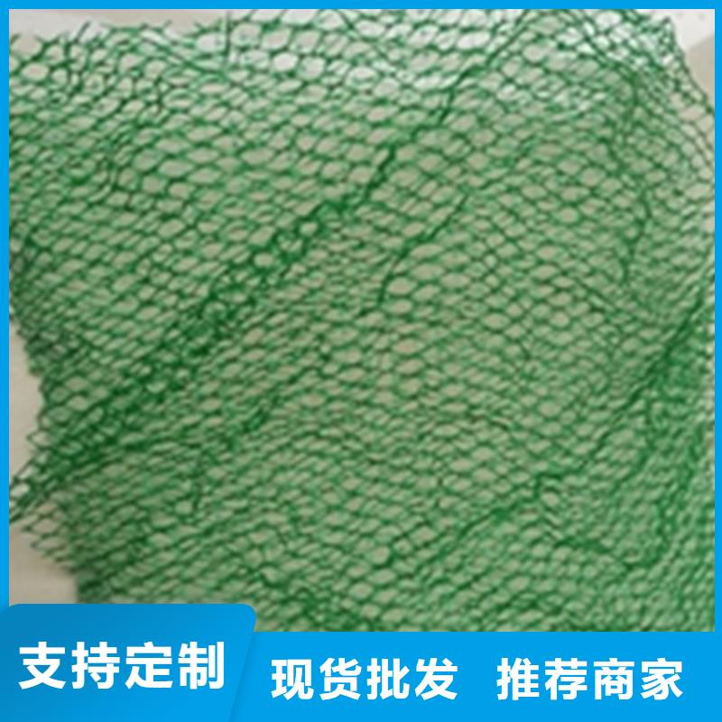 三维植被网厂家价格行情