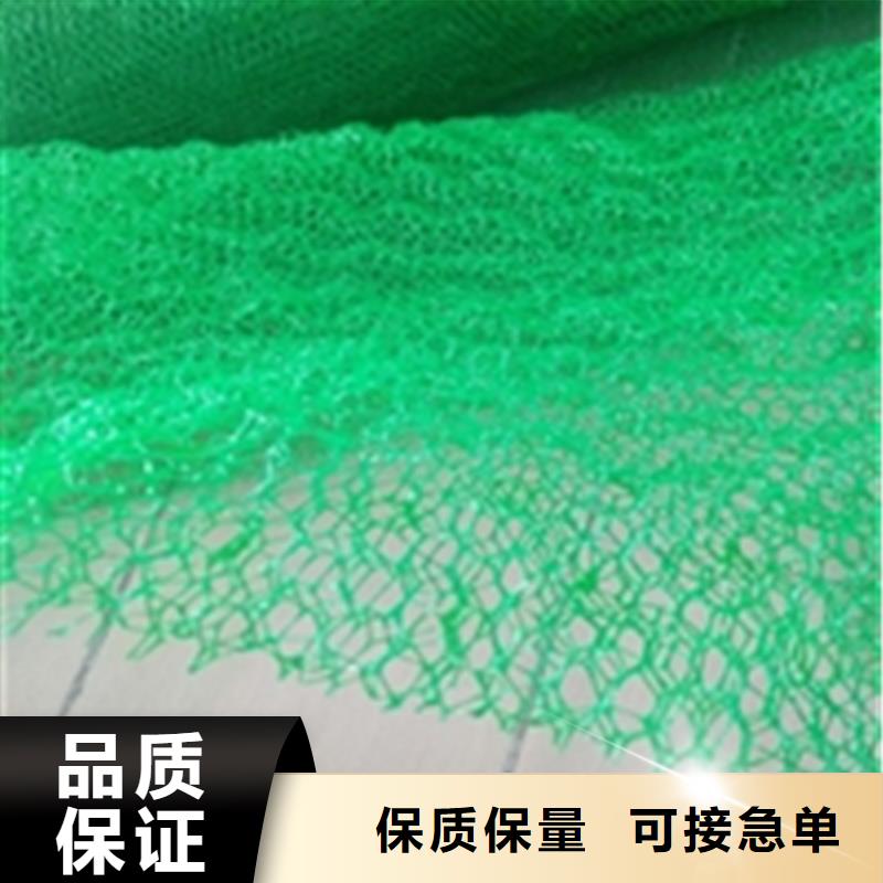 三维护坡植草网垫使用年限长