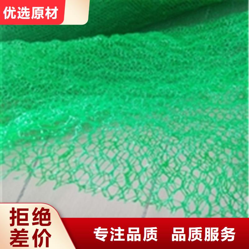 三维植被网土工格栅厂家实力大