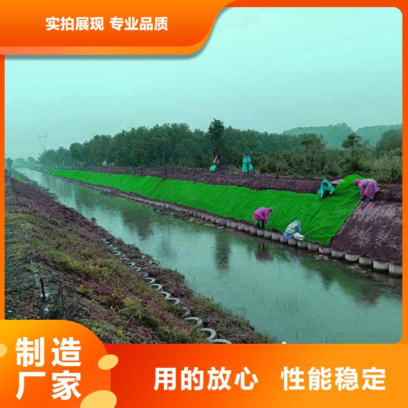 环保EM4三维固土网垫