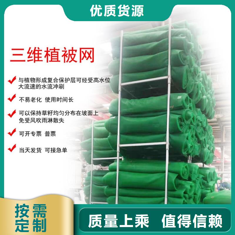 草皮EM3三维植被网