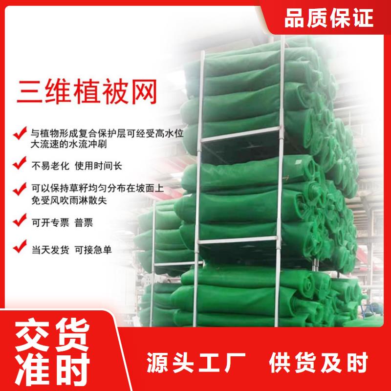 加筋边坡三维植被网